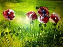 Wild Poppies